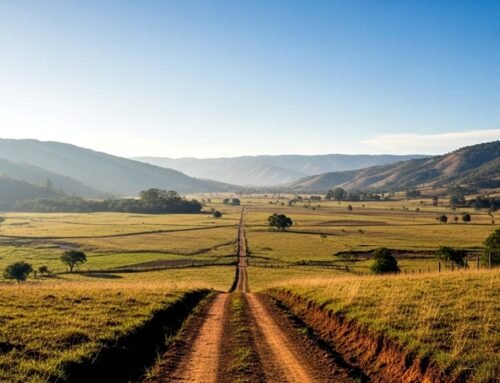La Tierra de Nadie que es de Todos: El Enigma de los Baldíos