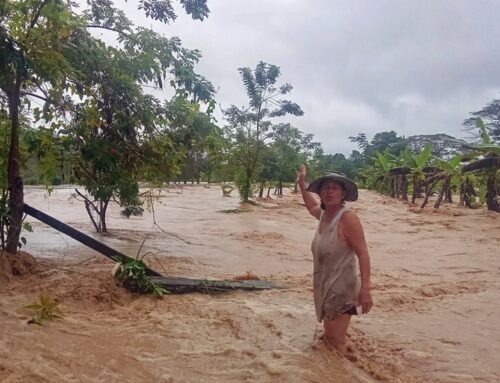 Ayuda urgente para los afectados de inundaciones en Motería