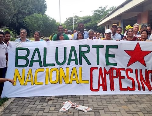 Baluartes Campesinos Colombianos: De la organización regional a la consolidación nacional